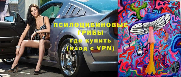 прущие грибы Елизово