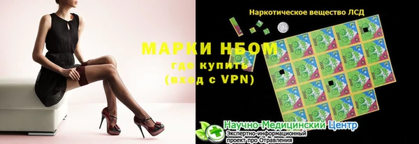 прущие грибы Елизово