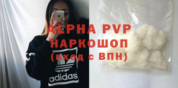 прущие грибы Елизово