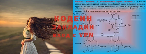 прущие грибы Елизово