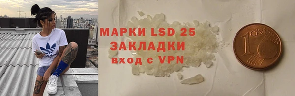 прущие грибы Елизово