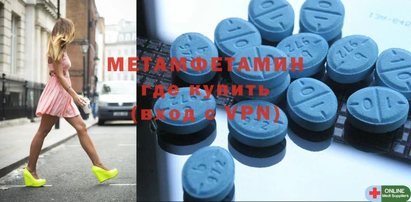 прущие грибы Елизово