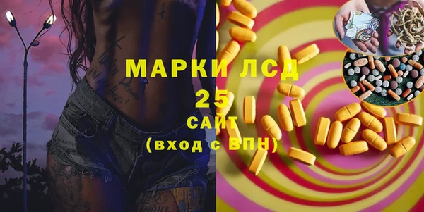 прущие грибы Елизово