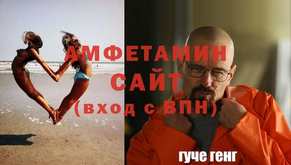 прущие грибы Елизово