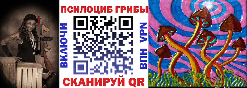 Купить где Снежинск Псилоцибиновые грибы мицелий